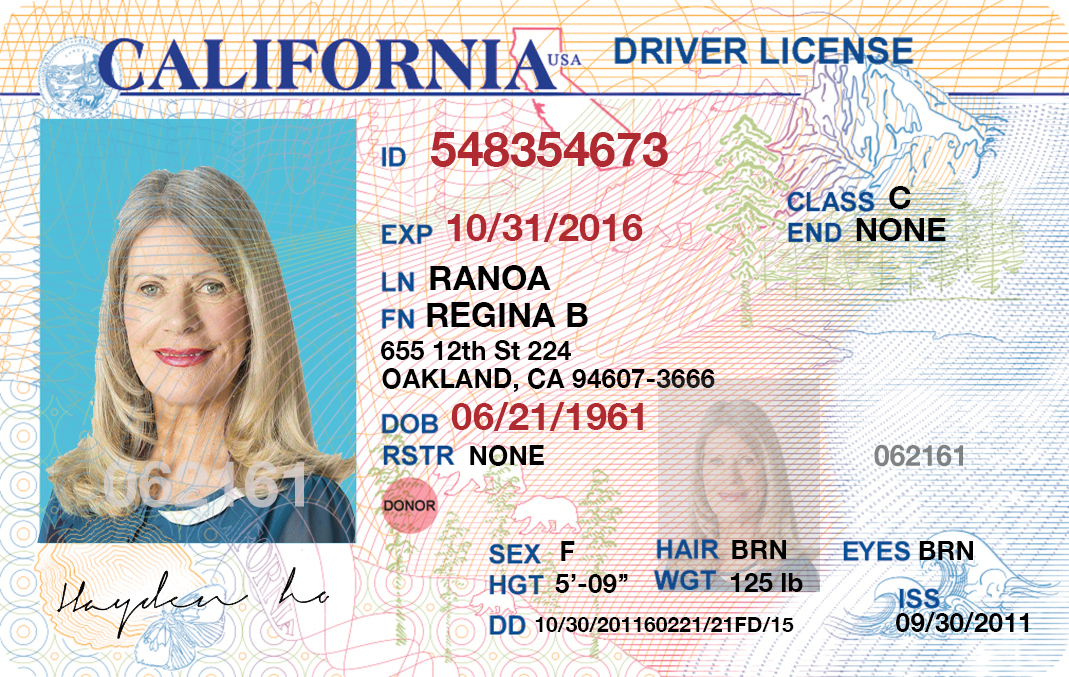 Blank Florida Drivers License Template
